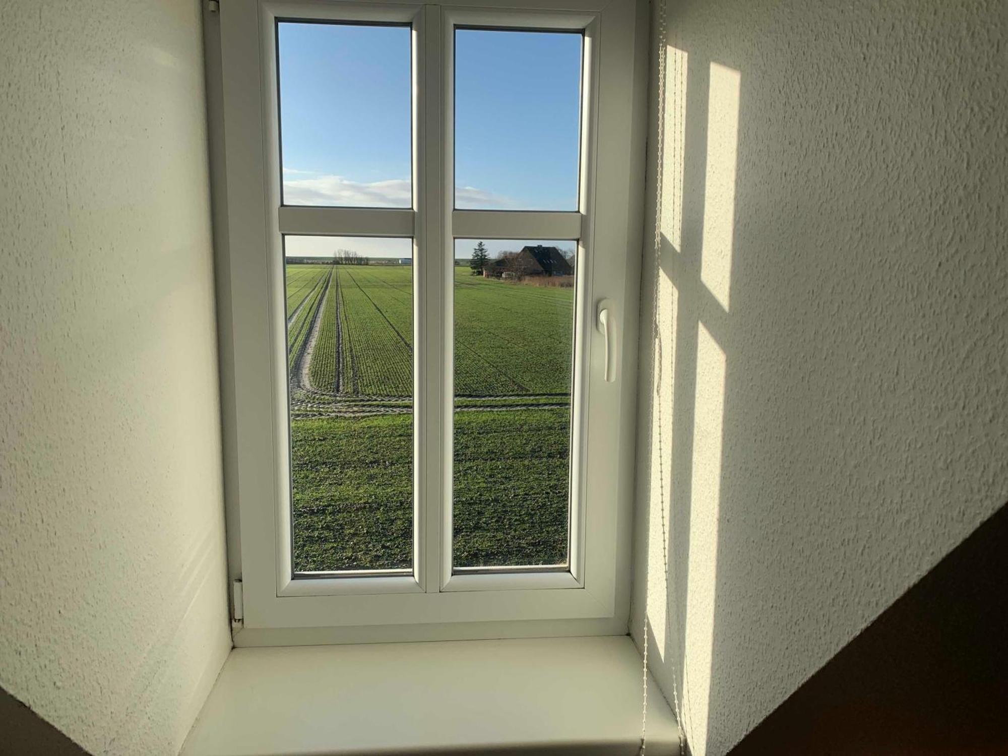 Haus Im Halligweg 20 Nordstrand Esterno foto